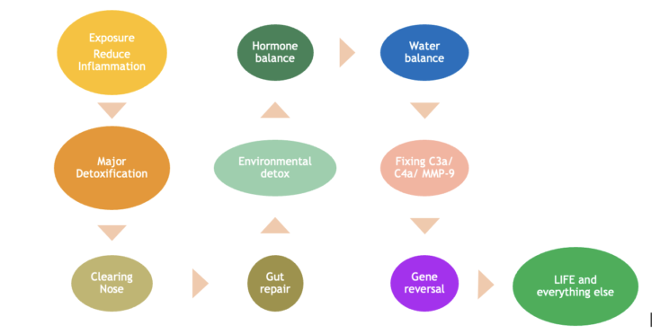 CIRS treatment flow chart at Functional GYN